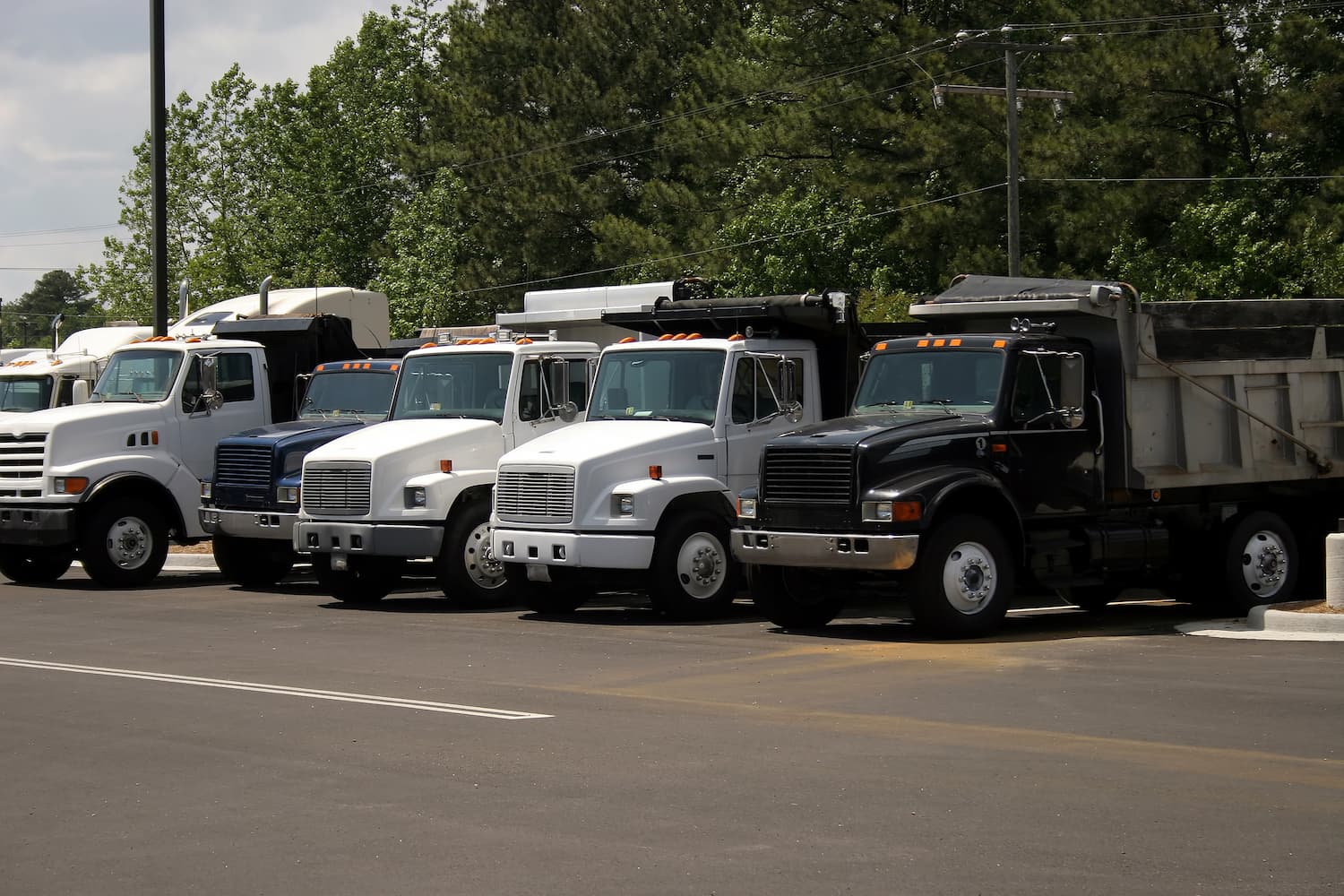 Line up of Trucks